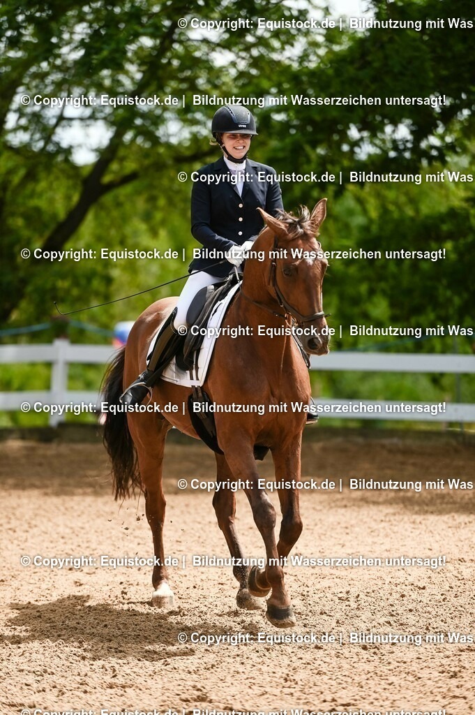 20230716_03_Dressurprfg. Kl.L - Tr._0402 | equistock