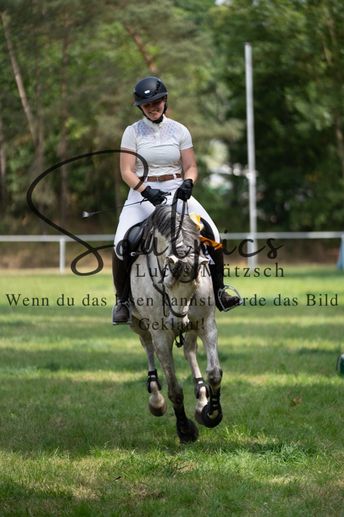 A7V07543 | Pferdefotograf