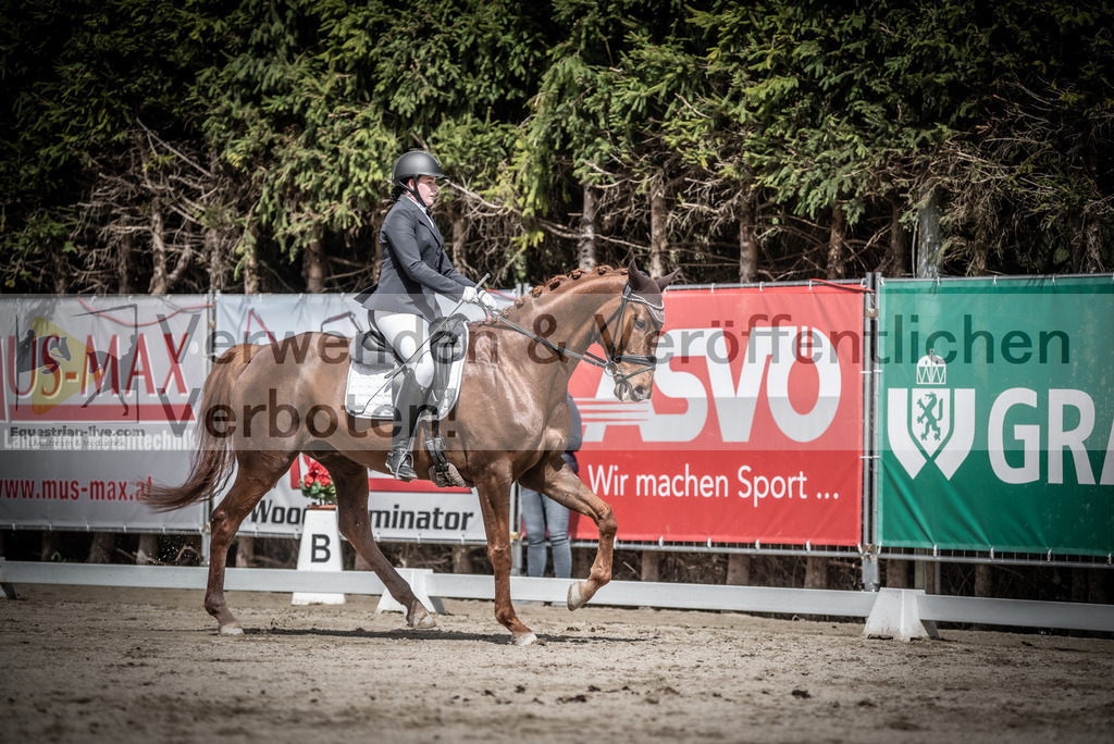 DSC_2915 | equestrian-live-com