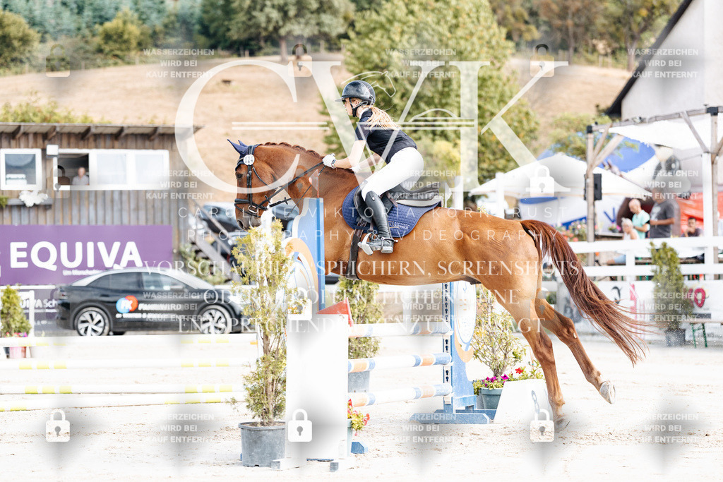 CK909004 | Turnierfotografie Pferdefotografie Trier Rheinland-Pfalz Pferdesport Reitsport Tierfotografie Sportfotografie Pferdevideo Pferdevideografie Equestrianvideography equestrianphotography  - Realisiert mit Pictrs.com
