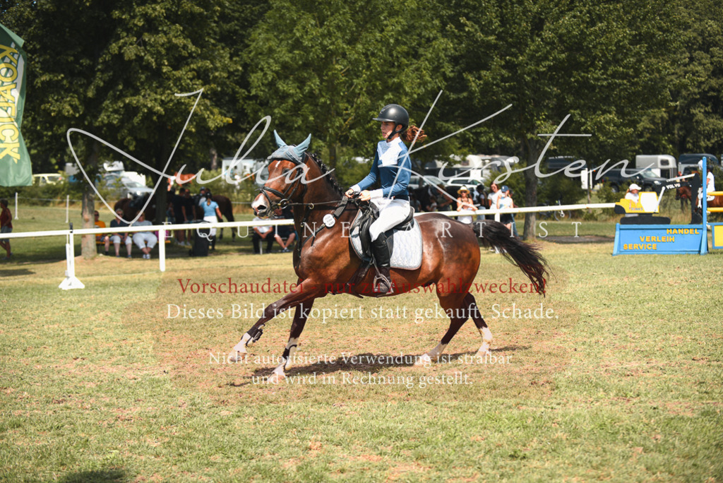 DSC_6772 | Pferde- und Turnierfotografie in Westsachsen. Pferdeportraits, Auftragszeichnungen und intuitive Kunst.