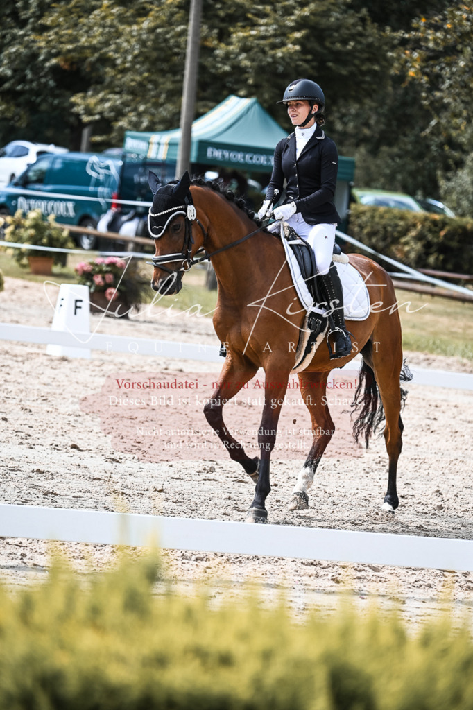 DSC_5146 | Pferde- und Turnierfotografie in Westsachsen. Pferdeportraits, Auftragszeichnungen und intuitive Kunst.