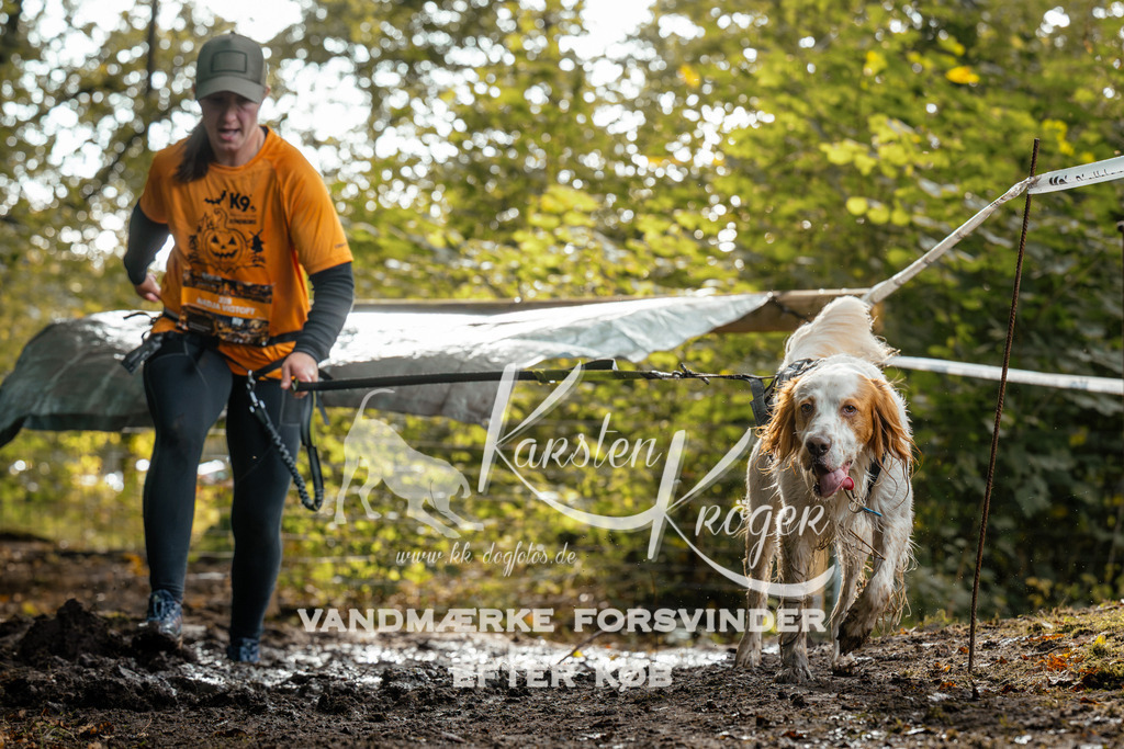 1454DZ6_3805Z6 | kk-dogfotos