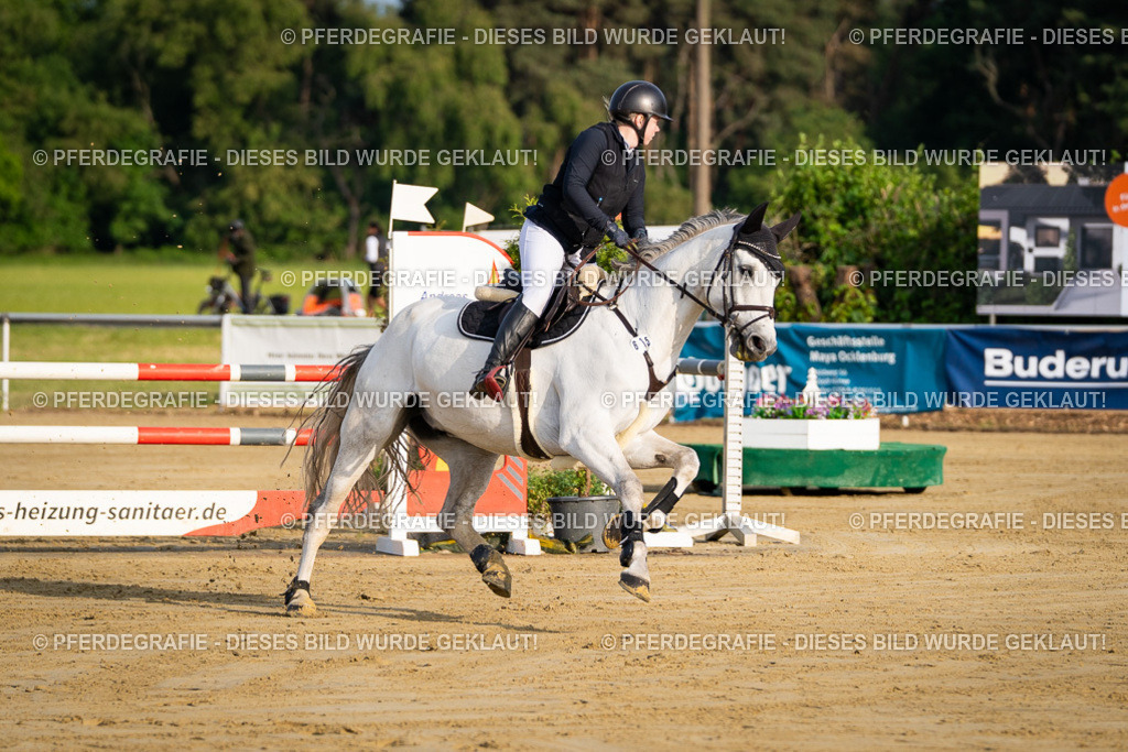 DSC01995 | Pferdegrafie