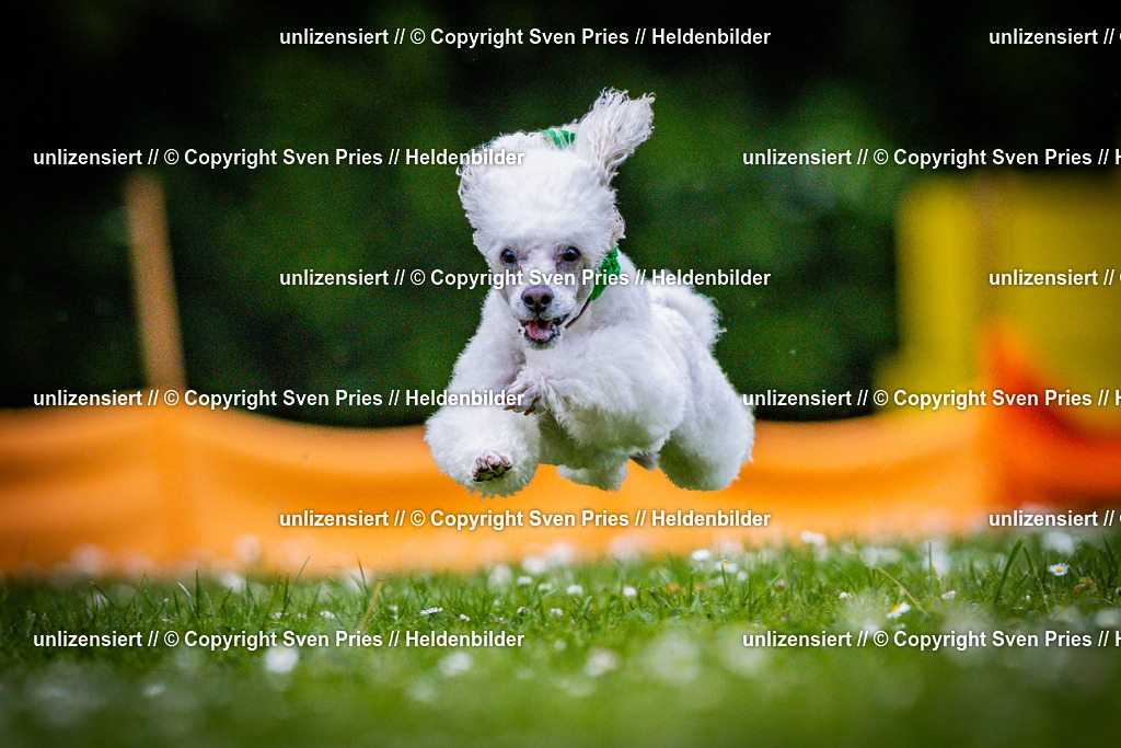 Sven Pries | 2025-05-29 - Pudelrennen KA-Durlach - Realisiert mit Pictrs.com