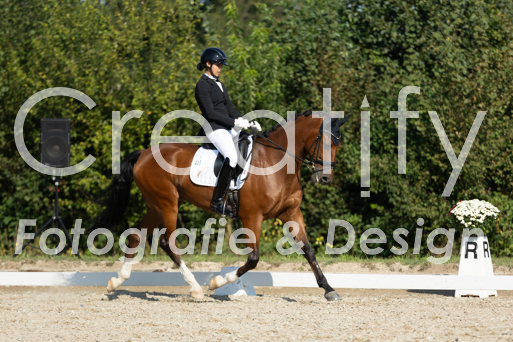 IMG_6013 | Creatify Fotografie