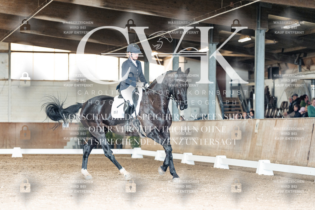 CK902218 | Turnierfotografie Pferdefotografie Trier Rheinland-Pfalz Pferdesport Reitsport Tierfotografie Sportfotografie Pferdevideo Pferdevideografie Equestrianvideography equestrianphotography  - Realisiert mit Pictrs.com