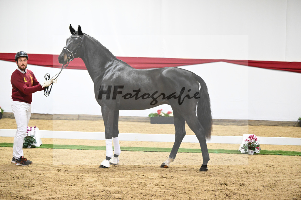 Kat-Nr. 51 v. Escamillo_Casper_63221302 | hf-fotografie - Realizzato con Pictrs.com