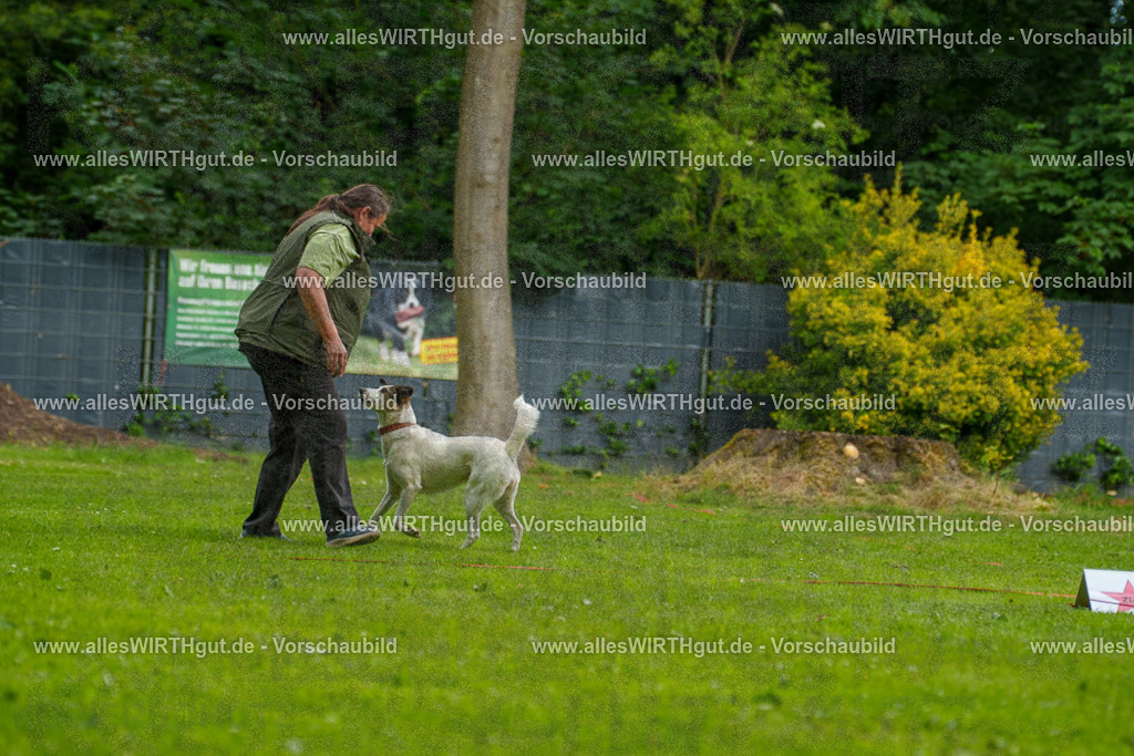 @allesWIRTHgut_Tierfotografie - www.allesWIRTHgut.de - 123210-7R509072 | Professionelle Tierfotografie in Mönchengladbach von Daniel Wirth (allesWIRTHgut). Liebevolle & natürliche Bilder von Hunden & Katzen für unvergessliche Erinnerungen.