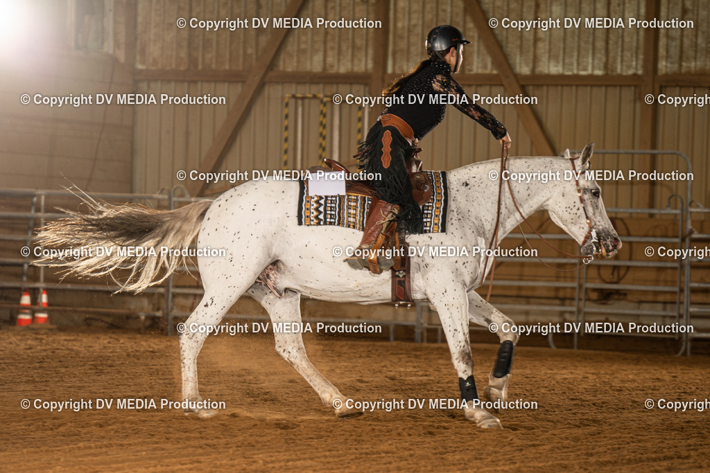 NID03946 | dv-media-shop - Realisiert mit Pictrs.com