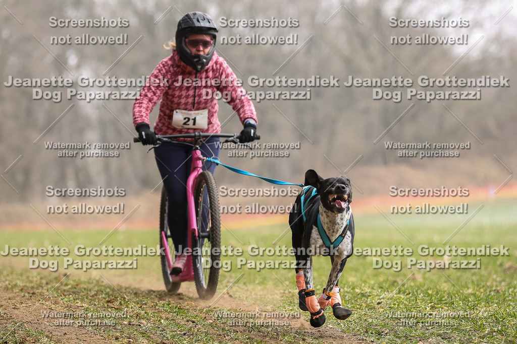 Dog Paparazzi - Plate 2026-77 | Dog Paparazzi Jeanette Grottendiek Fotografie & Videografie - Realisiert mit Pictrs.com