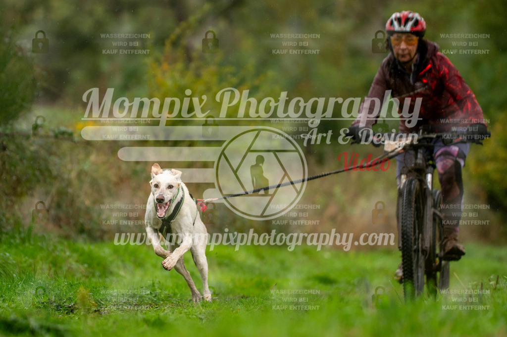 TSB_2023_E6_Bike-28 | PayLife