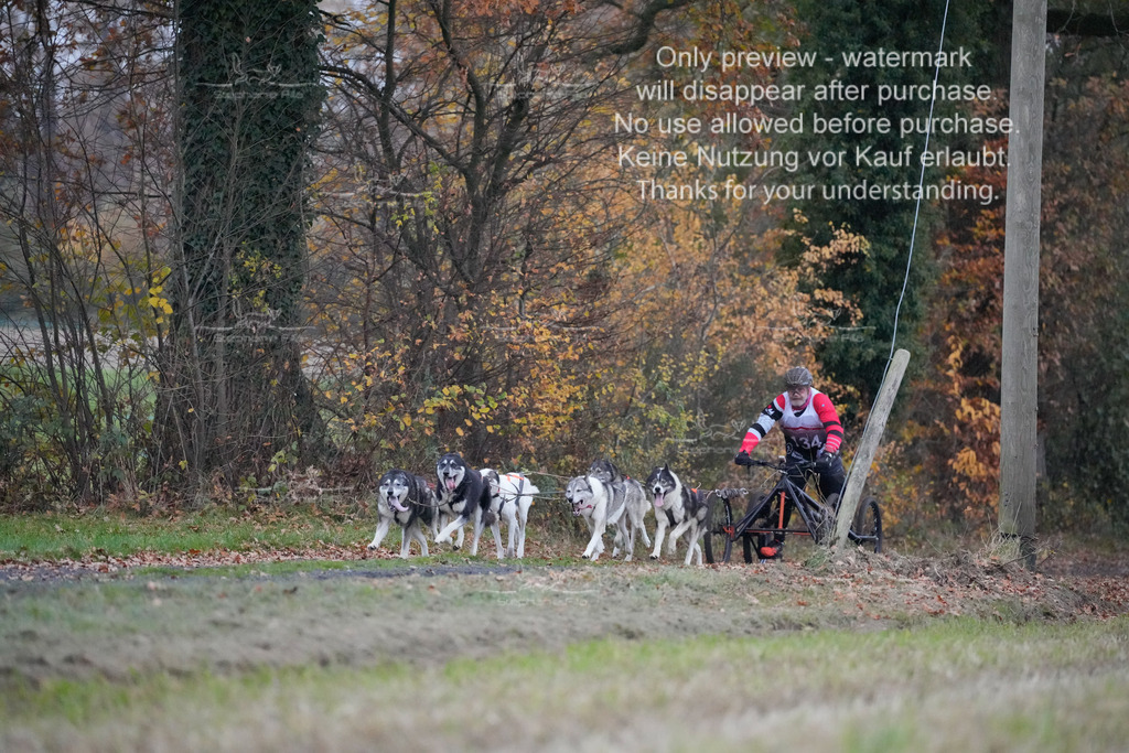 Visbeck_Sa_D4_6-49 | stephaniefillaphotographie - Realisiert mit Pictrs.com