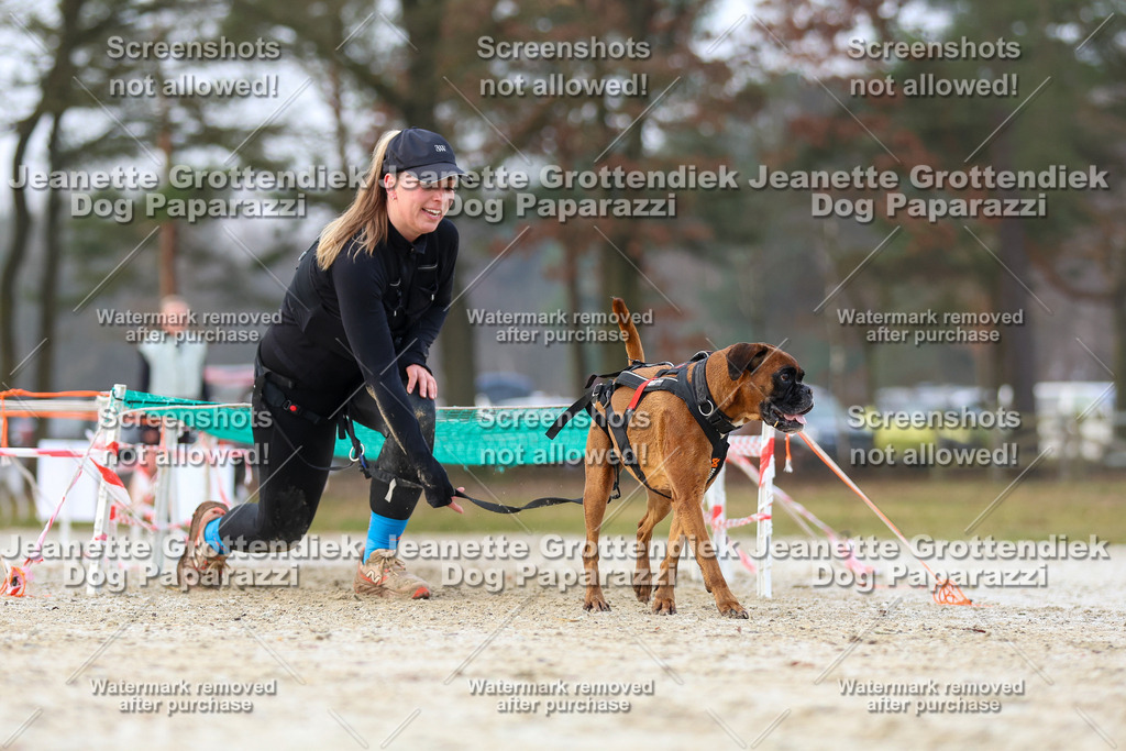 Dog Paparazzi - Strongdog North Mrz26-3813 | Dog Paparazzi Jeanette Grottendiek Fotografie & Videografie - Realisiert mit Pictrs.com
