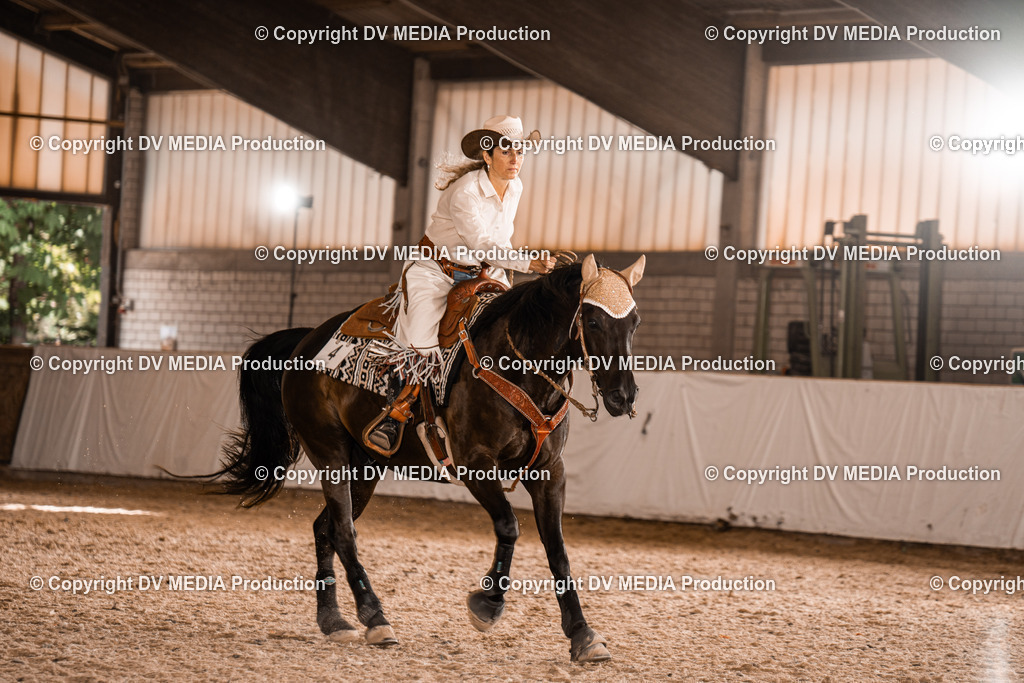 ZH300549 | dv-media-shop - Realisiert mit Pictrs.com