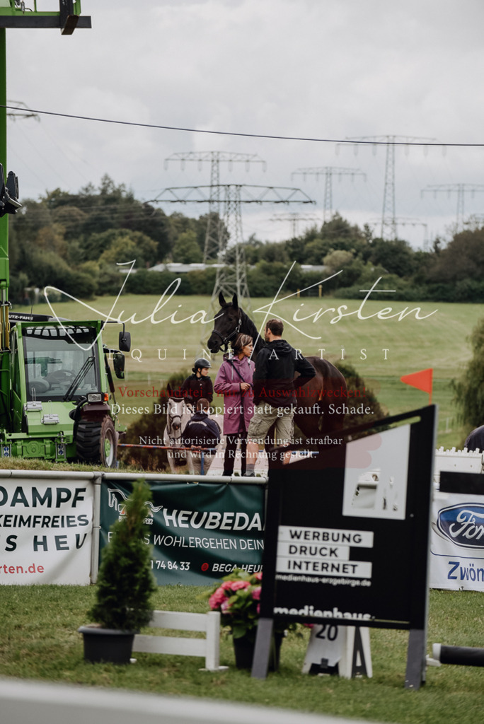 DSC_3813 | Pferde- und Turnierfotografie in Westsachsen. Pferdeportraits, Auftragszeichnungen und intuitive Kunst.