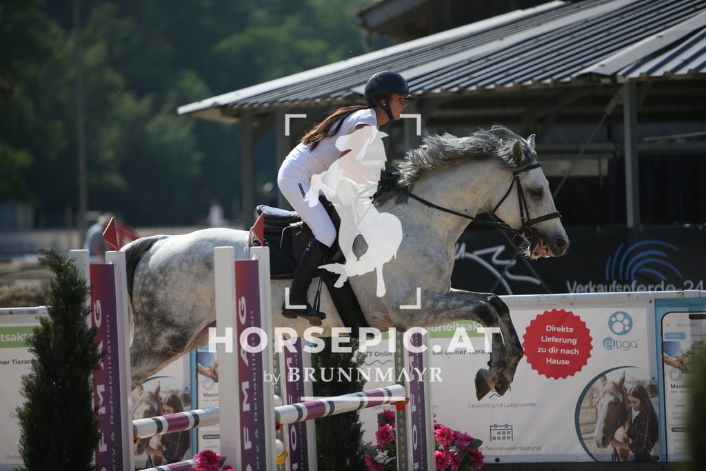 PP016015 | Willkommen bei Brunnmayr - Design & Fotografie – Ihrem Spezialisten für Reitturniere und Pferdeveranstaltungen in Oberösterreich, Salzburg und Bayern! Seit über 17 Jahren sind wir leidenschaftlich dabei.