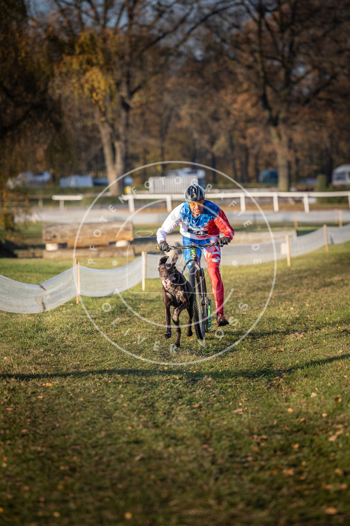 CaniXpix_DV3A0678 | Hundefotografie, Tierfotograf, Pfotenfotografie, Fotoshooting Hund, Hunde Portrait, Hundesport, Hundeportraits, Heideshooting, Hunde, Sportfotograf, Hundefotograf, Turnierhundsport, THS,  - Realisiert mit Pictrs.com