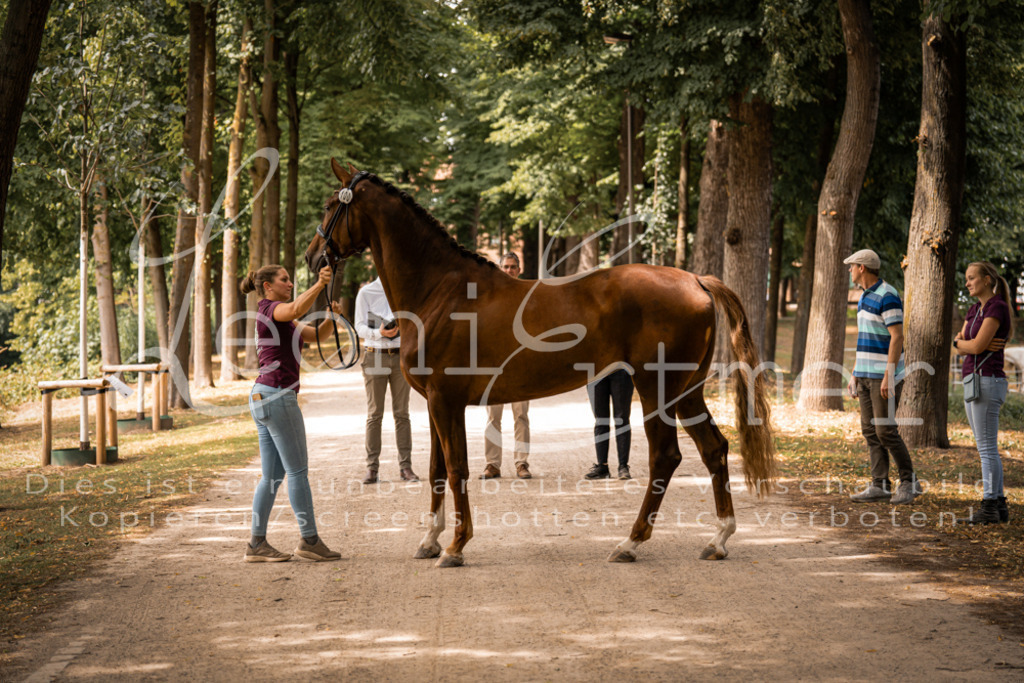 FrPfM00257 | Leoni Ertmer Photography - Realisiert mit Pictrs.com