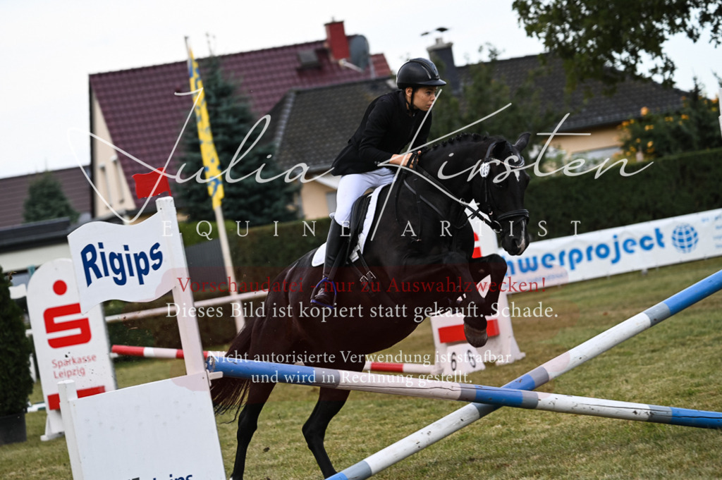 DSC_5732 | Pferde- und Turnierfotografie in Westsachsen. Pferdeportraits, Auftragszeichnungen und intuitive Kunst.