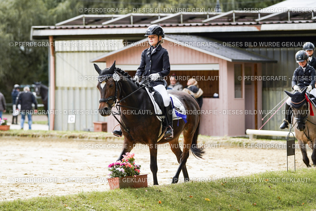 DSC05811 | Pferdegrafie