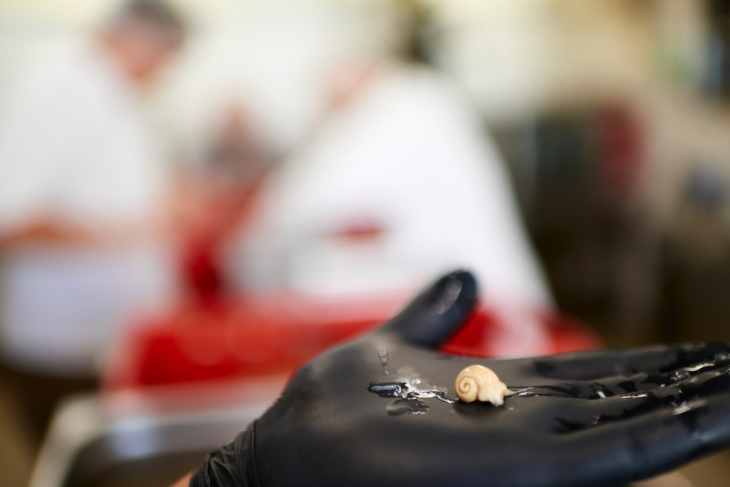 Gugumuck Wiener Schnecken Manufaktur | Wien, Austria - June 14, 2017: Gugumuck Wiener Schnecken Manufaktur;  Ausgelöste Schneckenleber. - Realisiert mit Pictrs.com