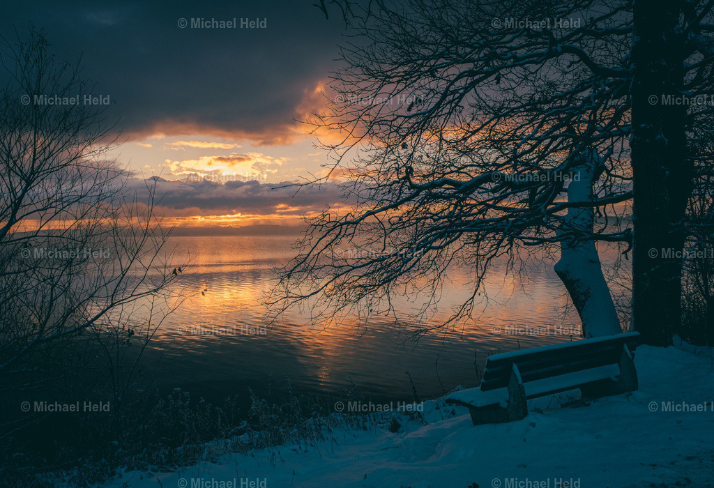 2023-12-01_Wald_Pratjau_Schnee_001 | Profi-Fotos über Schleswig-Holstein und dem ganzen Norden für Büro, Hotel, Ferienhaus, Ferienwohnung, Wohnzimmer, Arztpraxis uvm. jetzt bestellen. - Realisiert mit Pictrs.com