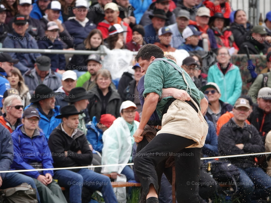 DSC07628 | Schwingen - Realisiert mit Pictrs.com