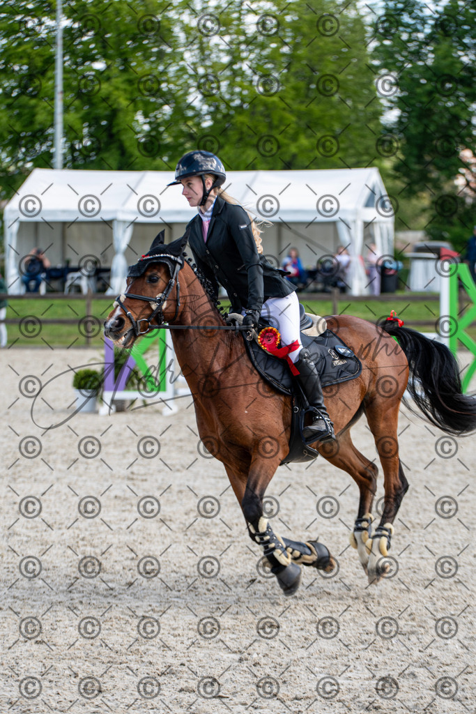 KPT_4890 | andre_photographic