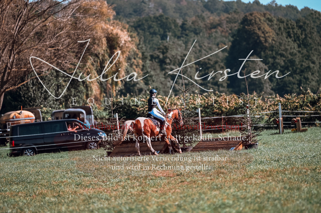 DSC_1031 | Pferde- und Turnierfotografie in Westsachsen. Pferdeportraits, Auftragszeichnungen und intuitive Kunst.