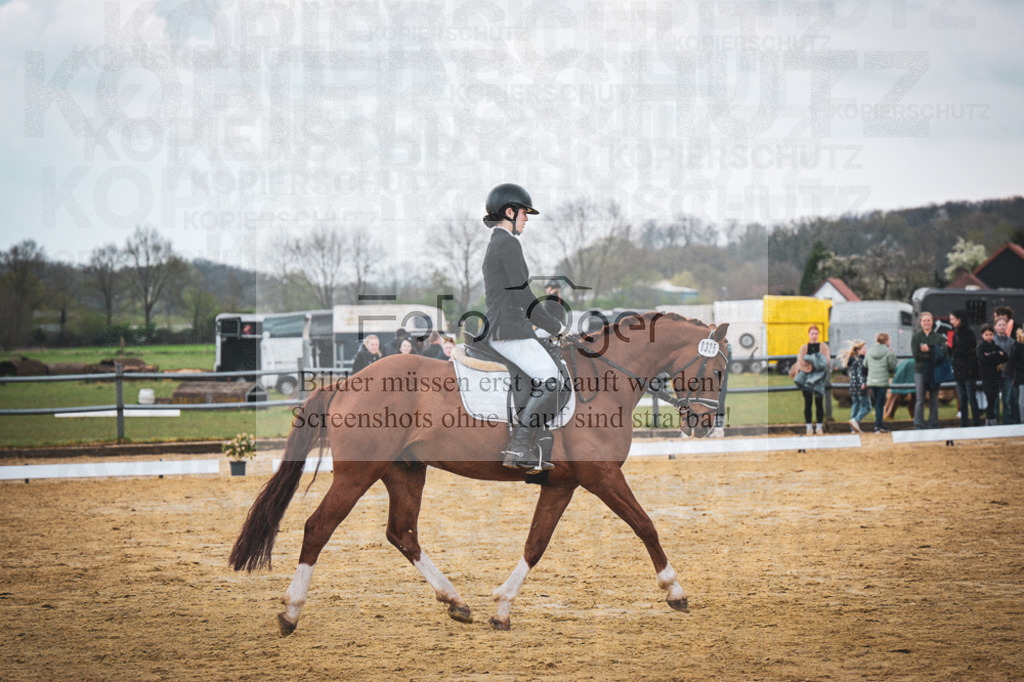 DOS_7413 | Entdecke hochwertige Reitturnierfotos von Foto Oger. Professionell, emotional und authentisch – jetzt Lieblingsmomente im Shop bestellen. - Realisiert mit Pictrs.com