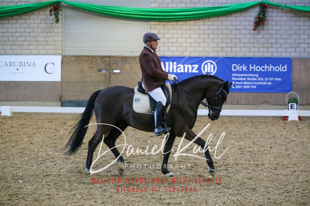 IMG_2830 | Turnierfotos kaufen im Webshop von Daniel Kuhl Photography – entdecke professionelle Reitsportfotos aus Turnieren & Events. Hochwertige Turnierbilder online bestellen & sichern. Jetzt Fotos von Reitsportturnieren kaufen!