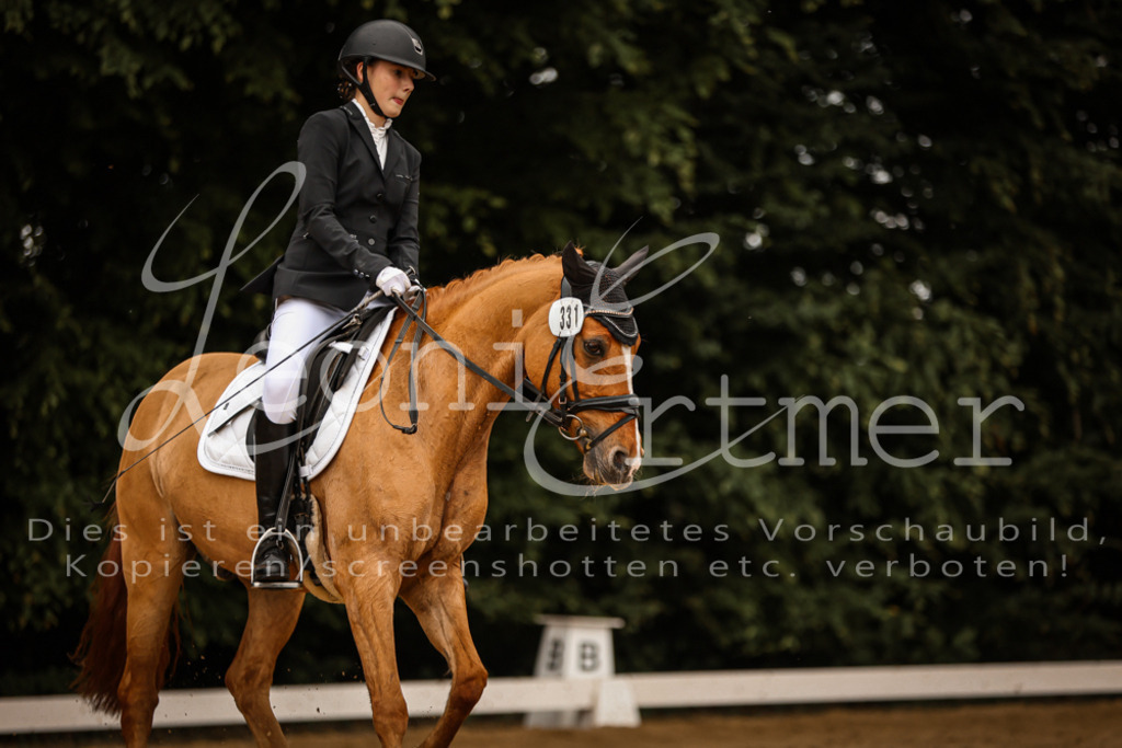 DoDrE00438 | Leoni Ertmer Photography - Realisiert mit Pictrs.com