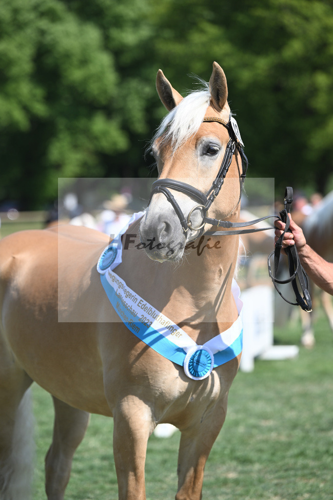 Kat-Nr. 43 Olena_Schuler_20231546 | hf-fotografie - Realisiert mit Pictrs.com