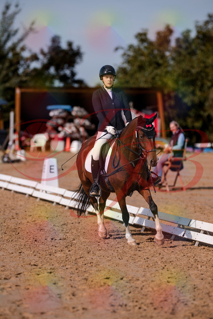 2026_10_03_Siefer-Hof_115806_Z81_00152156 | Professionelle Reitsport-, Turnier- und Eventfotografie von Robert Broda. Galerien mit ausgewählten und bearbeiteten Bildern direkt online ansehen und bestellen.