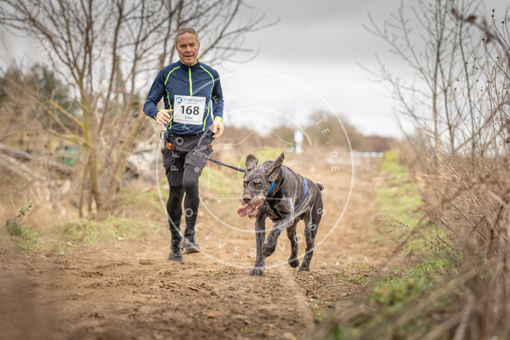 DV3A1911 | Hundefotografie, Tierfotograf, Pfotenfotografie, Fotoshooting Hund, Hunde Portrait, Hundesport, Hundeportraits, Heideshooting, Hunde, Sportfotograf, Hundefotograf, Turnierhundsport, THS,  - Realisiert mit Pictrs.com