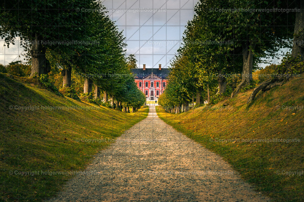 Festonallee I | Kaufen sie online außergewöhnliche Fotografien auf Leinwand Acrylglas Fotoprint Aludibond von holgerweigeltfotografie - Realisiert mit Pictrs.com