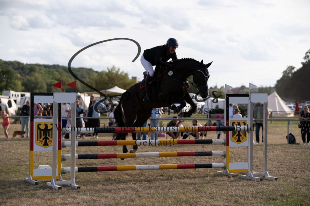 A7V09862 | Pferdefotograf