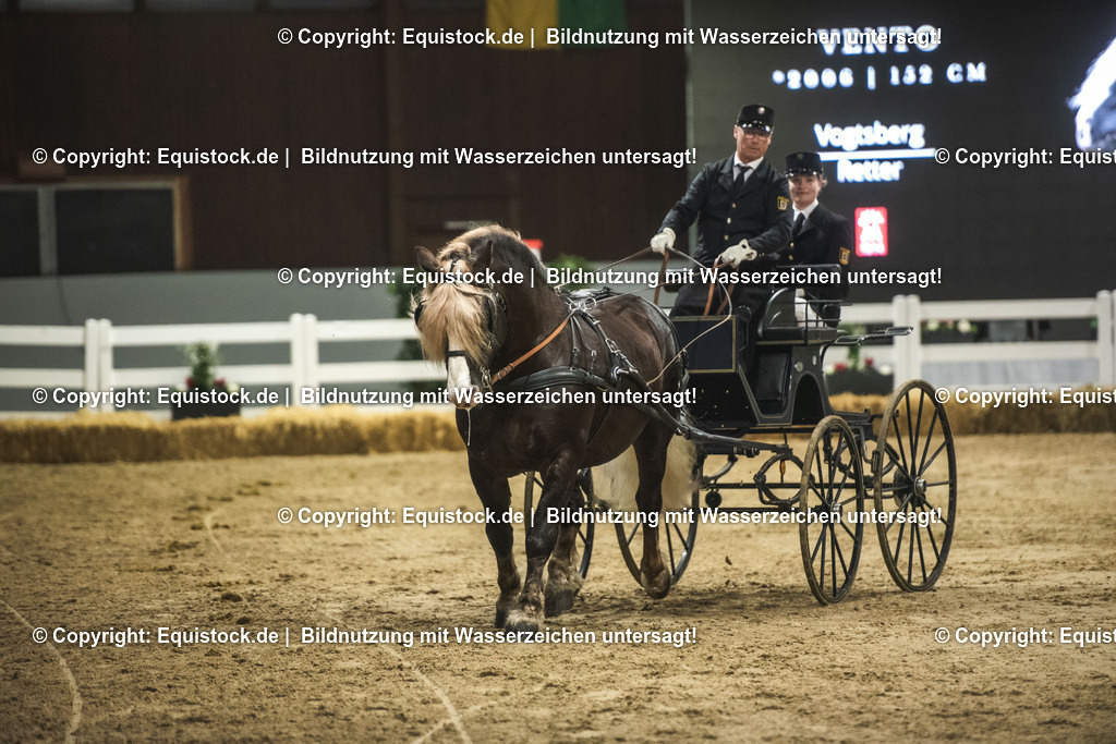 20240302_Hengstvorstellung_Marbach_TOMsPiC_0603 | equistock