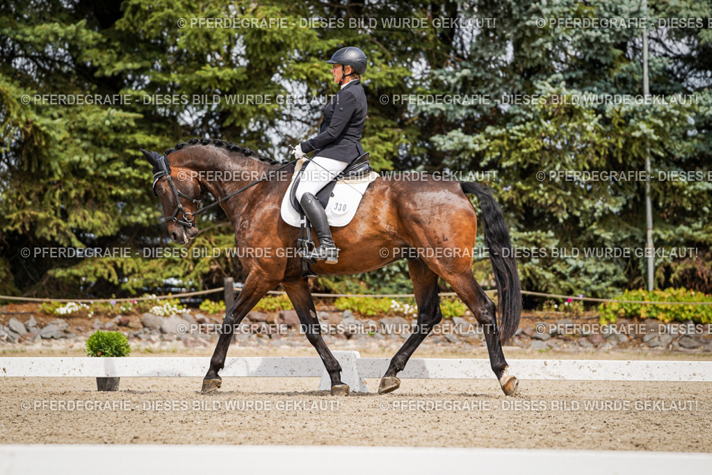 DSC03637 | Pferdegrafie