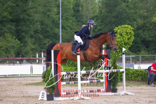 DKP41931 | Turniersportfotografie; Pferdefotografie; Dressurfotografie