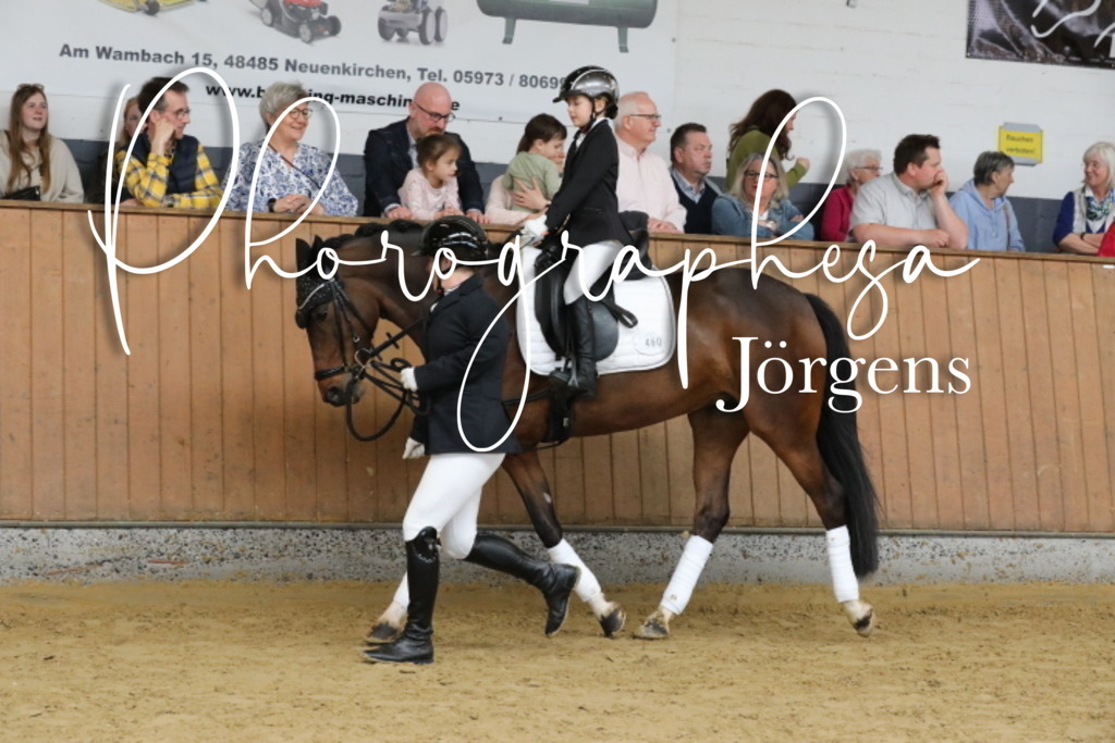 IMG_7176 | photographesa-joergens - Realisiert mit Pictrs.com