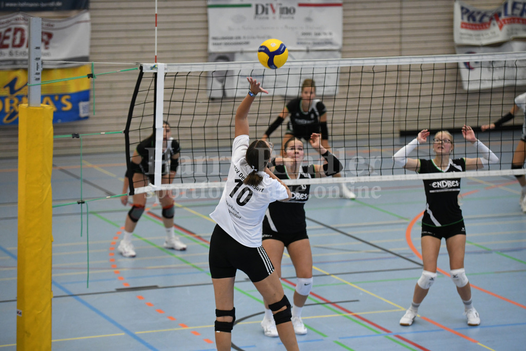TSV Deggendorf Damen : Wilde Wespen Steinach | TSV Deggendorf Damen : Wilde Wespen Steinach - Realisiert mit Pictrs.com