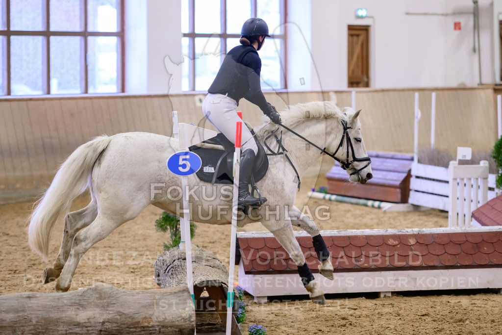 29032026-Schwaiganger-Prfg01-476 | Fokus Hufschlag Fotografie - Realisiert mit Pictrs.com