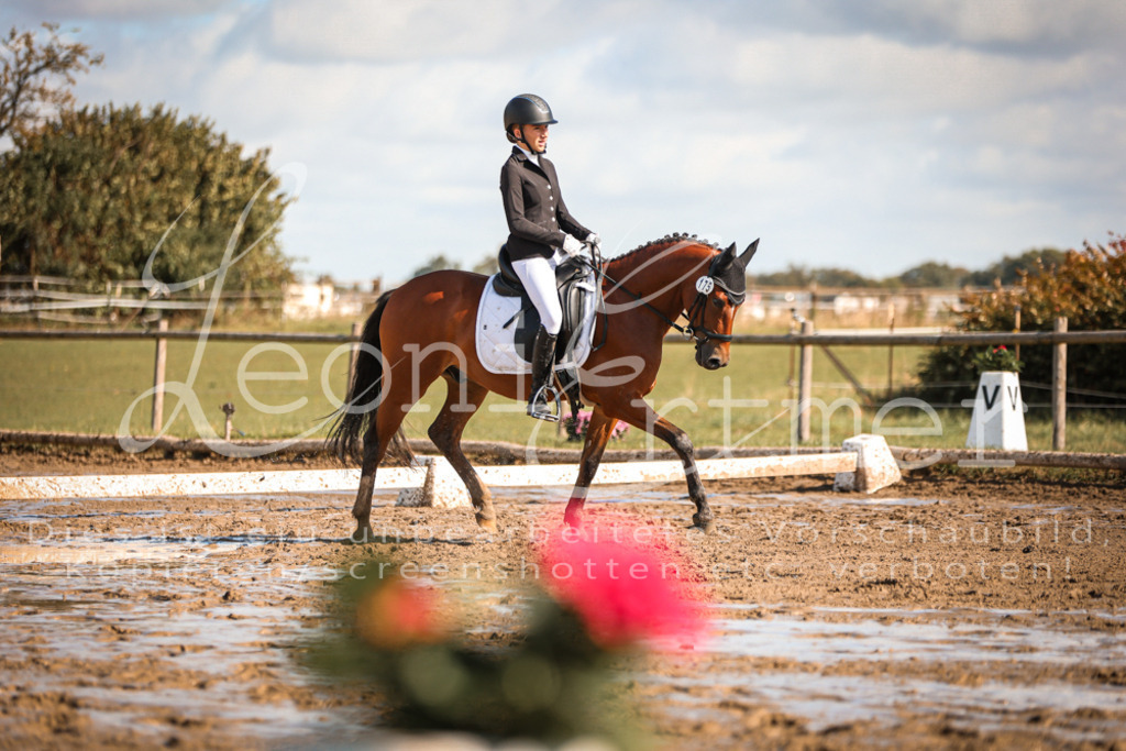 07.SoDrE00291 | Leoni Ertmer Photography - Realisiert mit Pictrs.com