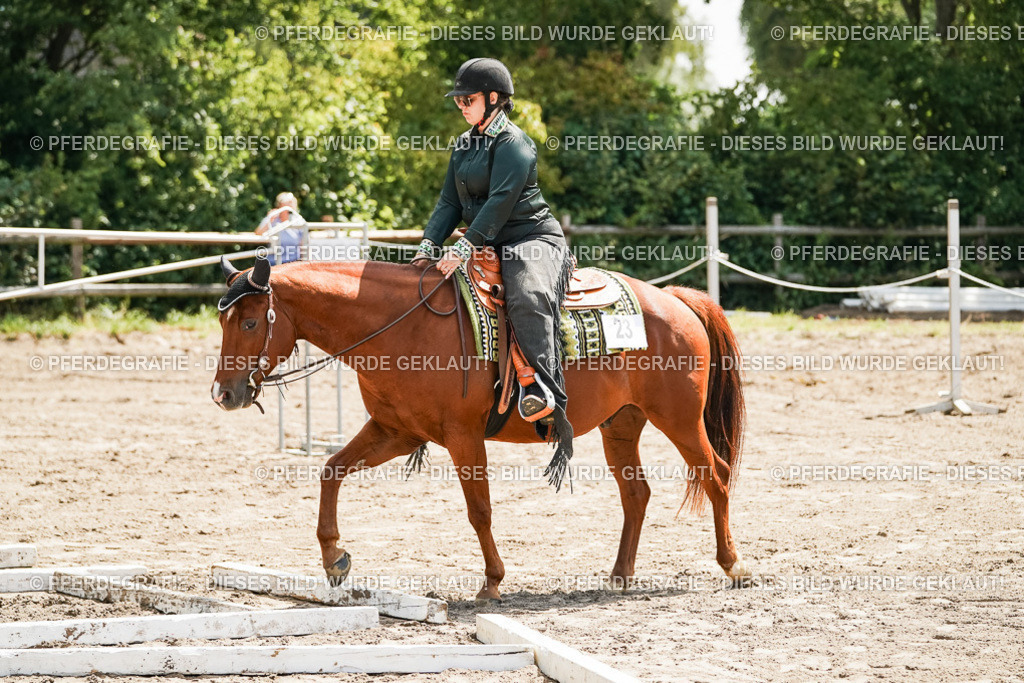 DSC06437 | Pferdegrafie