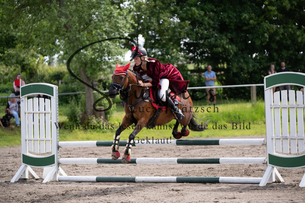 A7V04757 | Pferdefotograf