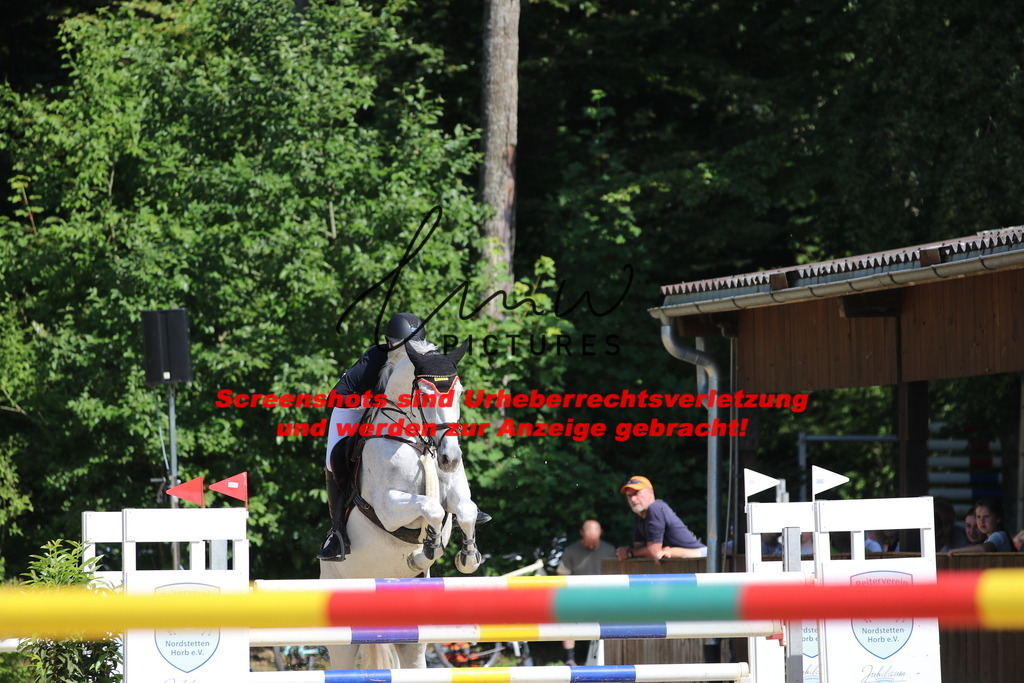 IMG_3056 | lmwpictures - Realisiert mit Pictrs.com