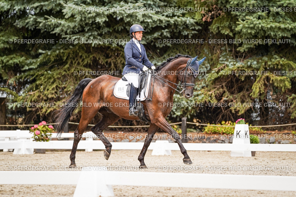 DSC05475 | Pferdegrafie