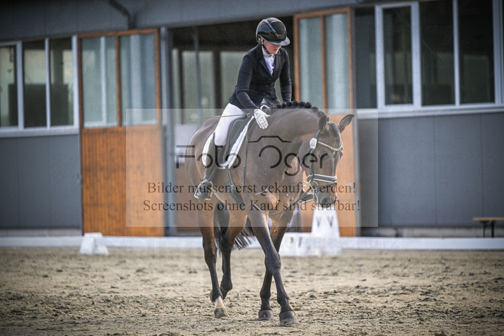 DOS_1795 | Entdecke hochwertige Reitturnierfotos von Foto Oger. Professionell, emotional und authentisch – jetzt Lieblingsmomente im Shop bestellen.Deutschlandweite Turnierfotografie. - Realisiert mit Pictrs.com